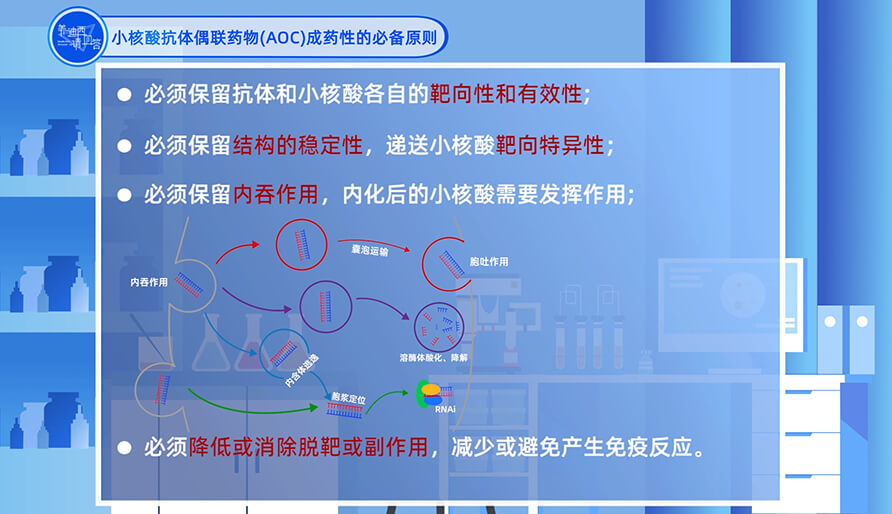 小核酸抗体偶联药物（AOC）成药性的必备原则？？？？