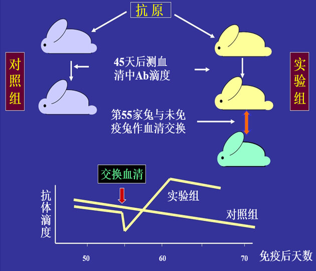 Figure-1:机体对抗体浓度转变的感知与反响性自我调理.jpg Figure-1:机体对抗体浓度转变的感知与反响性自我调理.jpg