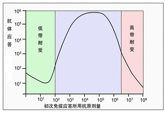 Figure-2-免疫应答爆发抗体依赖于首次免疫应答所用抗原剂量.jpg Figure-2-免疫应答爆发抗体依赖于首次免疫应答所用抗原剂量.jpg
