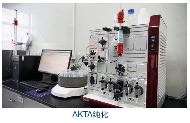 CA88杂交瘤手艺平台装备-AKTA纯化