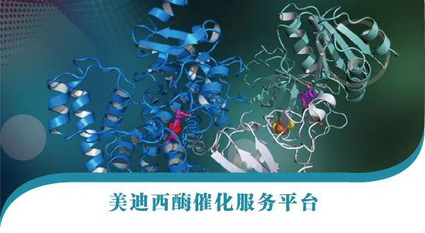 CA88酶催化效劳平台.jpg