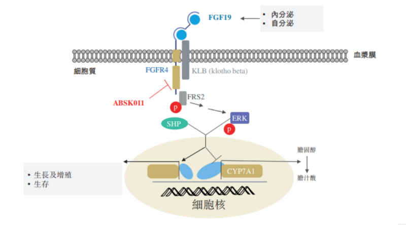 图源:果真资料.jpg 图源:果真资料.jpg