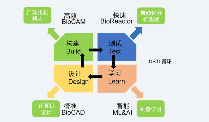 合成生物学效劳平台.jpg 合成生物学效劳平台.jpg