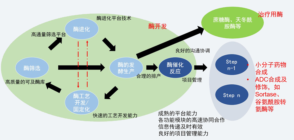 酶催化效劳平台.jpg