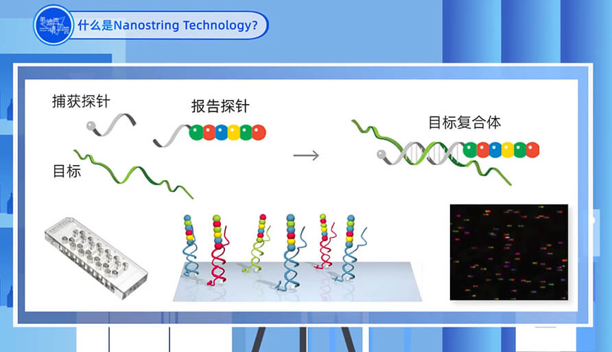 什么是Nanostring 手艺？？？？