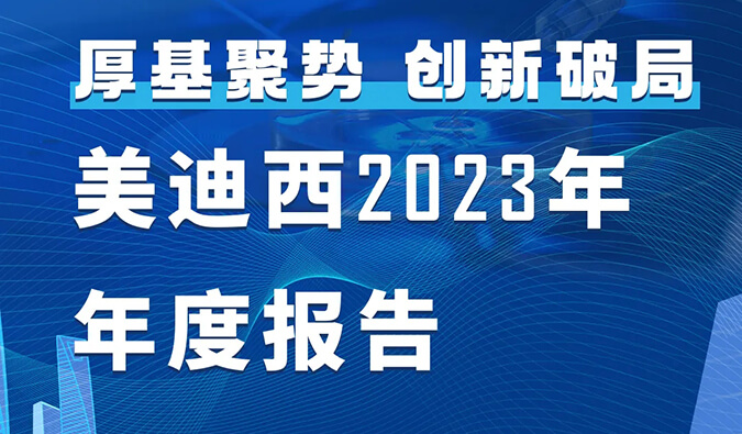 CA882023年年度报告