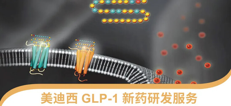 CA88GLP-1新药研发效劳平台.jpg