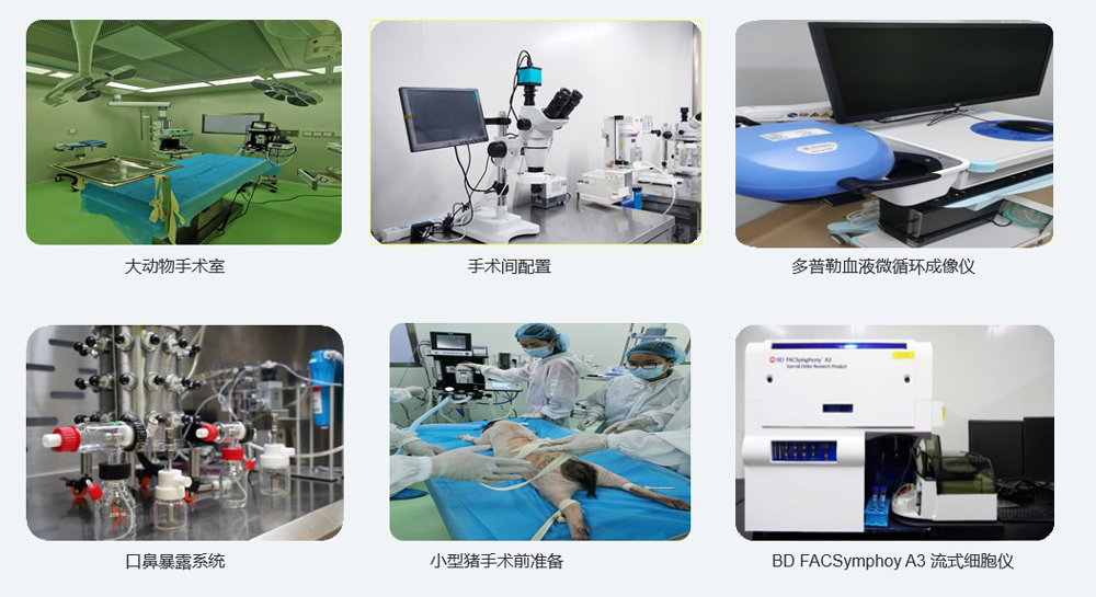 大动物实验仪器装备.jpg 大动物实验仪器装备.jpg