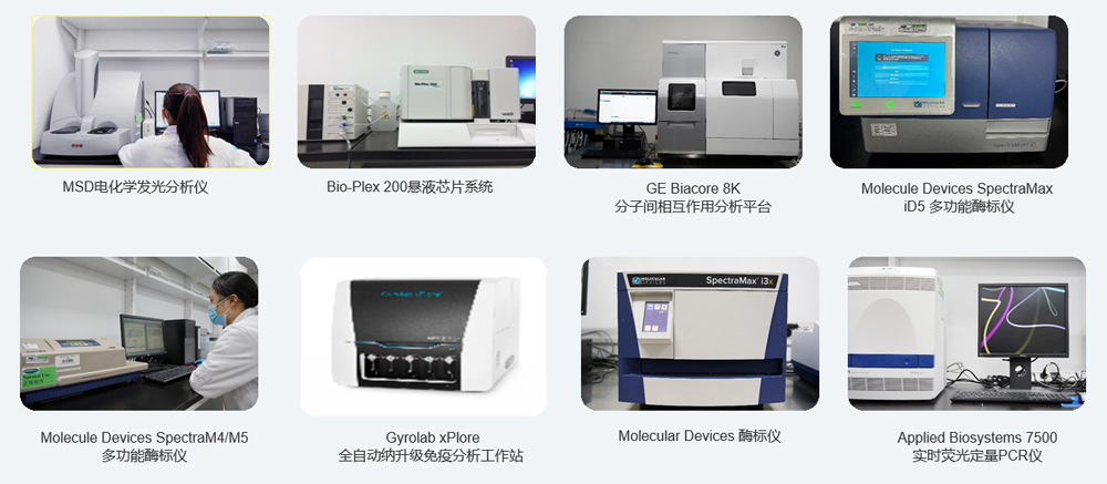 大动物药效实验剖析装备.jpg 大动物药效实验剖析装备.jpg