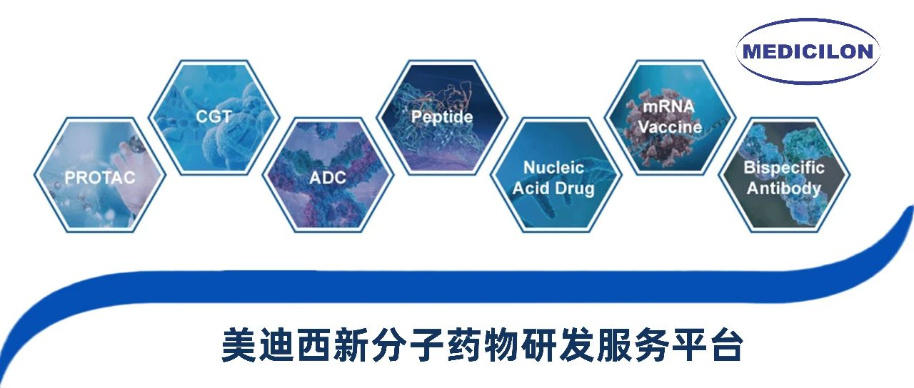 CA88新分子类型药物研发效劳平台