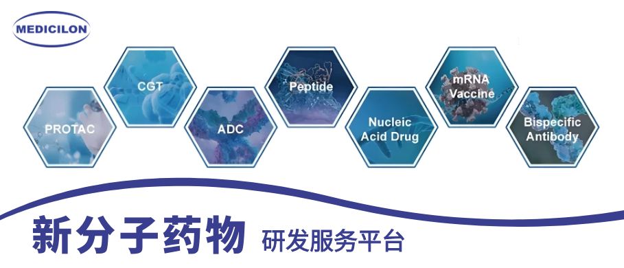 CA88新分子药物研发效劳平台 CA88新分子药物研发效劳平台