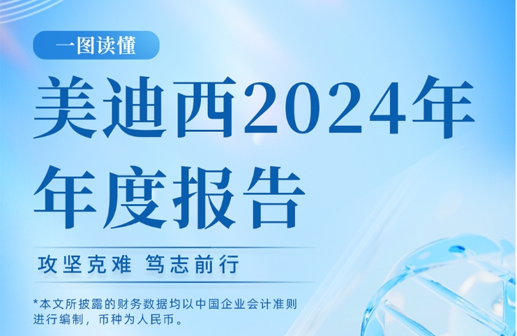 CA882024年年度报告