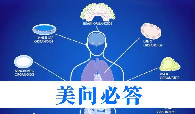 美问必答